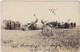 CANADA MANITOBA HAYWOOD  Carte Photographique 10 Septembre 1918 Le Coupage Du Seigle - Altri & Non Classificati