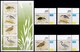 THEMATIC SEA BIRDS (CORNER SET)  - VENDA (SOUTH AFRICA) - Marine Web-footed Birds