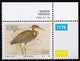 THEMATIC SEA BIRDS (CORNER SET)  - VENDA (SOUTH AFRICA) - Albatro & Uccelli Marini