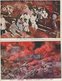 Earthquake In Japan - 2 Cards.  S-4507 - Disasters