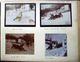 LUGES GLACE PATINAGE 12 PHOTOGRAPHIES DE SPORT ET LOISIRS D'HIVER EN 1908 12 X 9 Cm - Autres & Non Classés