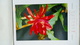 CALENDRIER ALLEMAND - 1959 BLUMEN KALENDAR - FARBFOTO - 30cmx20cm REICHENBACH - FLEURS Et Poésie ... - Grand Format : 1941-60