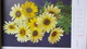 Delcampe - CALENDRIER ALLEMAND - 1959 BLUMEN KALENDAR - FARBFOTO - 30cmx20cm REICHENBACH - FLEURS Et Poésie ... - Grossformat : 1941-60