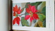 Delcampe - CALENDRIER ALLEMAND - 1959 BLUMEN KALENDAR - FARBFOTO - 30cmx20cm REICHENBACH - FLEURS Et Poésie ... - Grossformat : 1941-60