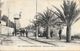 Toulon-Mourillon - Boulevard Du Littoral, Attelage, Entretien Des Lignes Cie Provençales De Tramways - Carte B.C. N° 453 - Toulon