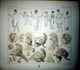 GRECE GREECE  COSTUMES DECORATION 10 PLANCHES CAMAIEUX ET CHROMOLITHOS DOREES COLOREES COSTUMES MILITAIRES FEMMES 1888 - Lithographies