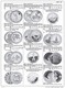 Catalog Of World Coins 1901-2000, 2350 Pages Sur DVD-R, 60 000 Actual Size Illustrations - Boeken & Software