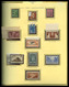 ** 1900/2000: Collection De Timbres Neufs** Depuis 1900 (quelques Sage Et Divers En Neufs), Quasi Complet Dont Mouchon, - Verzamelingen