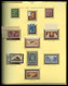 ** 1900/2000: Collection De Timbres Neufs** Depuis 1900 (quelques Sage Et Divers En Neufs), Quasi Complet Dont Mouchon, - Collections