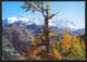 72398/ FINHAUT, Vue Depuis Emosson Sur Finhaut, Les Aiguilles Du Tour, Le Chardonnet Et L'Aiguille Verte Avec Les Drus - Finhaut