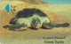 Télécarte GPT OMAN - ANIMAL - TORTUE - TURTLE Phonecard - SCHILDKRÖTE Telefonkarte - 183 - Tortugas