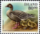 Islande Poste N** Yv:675/676 Faune Palmipèdes - Unused Stamps