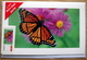 Denmark  Cards And One Stamps  A Brev MNH (**)   Butterfly ( Lot 598 ) - Ongebruikt