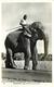 ELEPHANT And Mahout, Ceylon. - Éléphants