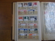 Delcampe - Lot N° 979 FRANCE Stock   Obl. En 2 Classeurs ,  No Paypal - Collections (with Albums)