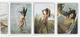 03 - VICHY - PETIT CALENDRIER  -  5 Photos De Femmes Nues  -  1978 - Imprimerie SIPA - Petit Format : 1971-80