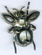 Broche 3D - INSECTE ??? - Broches