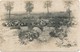 Ledegem / 1917 / Fotokaart - Ledegem