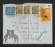 Tanzania 1974 Air Mail Postal Used Aerogramme Cover Tanzania To Malawi  50th Anniversary Interpol Dog Fish Animal - Tansania (1964-...)