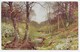 Spring Blossoms Near Dorking. - Sutton Palmer - Black Series 38 - Surrey