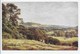 A Hayfield, Wonersh - Sutton Palmer - Salmon 1685 - Surrey