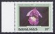 BAHAMAS 1987 ORCHIDEE NATALE - Bahamas (1973-...)