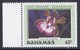 BAHAMAS 1987 ORCHIDEE NATALE - Bahamas (1973-...)