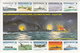 1992 Solomon Islands Guadalcanal WWII Navy Ships Aviation Complete Set Of 2 Sheets MNH - Salomon (Iles 1978-...)