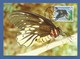 Papua-Neuguinea 1988  Mi.Nr. 574 , Queen Alexandra`s Birdwing Butterfly - WWF Maximum Karte - First Day  19.9.1988 - Papouasie-Nouvelle-Guinée