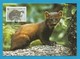 Irland 1992   Mi.Nr. 801 , Pine Marten - WWF Maximum Karte - First Day  9.VII.1992 - Maximumkaarten