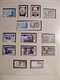 Delcampe - EUROPA COLLECTION 1995 / 1999  QUASI COMPLETE TIMBRES NEUFS** LUXE / SUPER PRIX - Collections