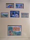 Delcampe - EUROPA COLLECTION 1995 / 1999  QUASI COMPLETE TIMBRES NEUFS** LUXE / SUPER PRIX - Collections