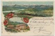 Litho REINACH Gruss Vom Homberg Gel. 1903 V. Beinwil - Beinwil Am See