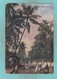 Old Post Card Of Village Scene,Bombay,Mumbai, Maharashtra, India,J20. - India