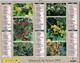 Calandrier Almanach De La Poste, Champignon, Baies Sauvages Champignons Mushroom Setas Pilze - Grand Format : 2001-...
