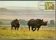 Zimbabwe & Maxi Card,  East African Wild Life, Black Rhinoceros, Diceros Bicornis Harare (191) - Zimbabwe (1980-...)