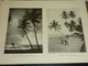Delcampe - THE HUNDRED BEST VIEWS OF CEYLON - FROM PHOTOGRAPHS TAKEN BY THE PUBLISHERS - 100 MEILLEURS VUES DE CEYLON (AD) - Orte
