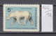 48K166 / 1685 Bulgaria 1966 Michel Nr. 1622 - Polar Bear Ursus Maritimus  Ours Polaire Eisbär , Sofia Zoo Animals - Ours