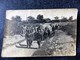 GROUPE De SOLDATS Partant En Manoeuvre Avec Tank Carte Photo - Maniobras