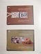 Delcampe - EUROPA 2007/8 COLLECTION PRESQUE COMPLETE TIMBRES NEUFS**LUXE / THEME SCOUTISME VOIR LES AUTRES ANNEES - Collections