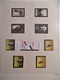 Delcampe - EUROPA 2007/8 COLLECTION PRESQUE COMPLETE TIMBRES NEUFS**LUXE / THEME SCOUTISME VOIR LES AUTRES ANNEES - Collections