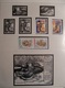 Delcampe - EUROPA 2004/6 COLLECTION PRESQUE COMPLETE TIMBRES NEUFS** LUXE / VOIR LES AUTRES ANNEES EN VENTE - Collections