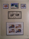 Delcampe - EUROPA 2004/6 COLLECTION PRESQUE COMPLETE TIMBRES NEUFS** LUXE / VOIR LES AUTRES ANNEES EN VENTE - Collections