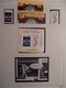 Delcampe - EUROPA 2004/6 COLLECTION PRESQUE COMPLETE TIMBRES NEUFS** LUXE / VOIR LES AUTRES ANNEES EN VENTE - Collections