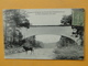 Delcampe - Lot N° 6 -- 12 CPA Sur La CHASSE à COURRE à FONTAINEBLEAU  -- TOUTES ANIMEES -- Voir Les 12 Scans -- A SAISIR  !! - 5 - 99 Cartes