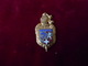 INSIGNE GENDARMERIE RHONE ALPES FAB ABP - Heer