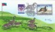 #RW64 $15 Duck Hunting Stamp Illustrated Cover Duck Stamp Station McLean VA 21 June 1997, With Swan 'Love' #3123 - Duck Stamps