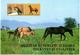 Turkmenistan.2005 Horses(Mountains). 4 S/S, Each Of 2v X2500  Michel # BL25-28(189-96) - Turkménistan