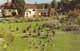 Postcard The Hopshire Hunt Southsea Model Village [ Fox Hunting ] My Ref  B12608 - Hunting