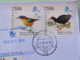 Indonesia 2018 Cover To Nicaragua - Birds Owl Raptors Water Birds Parrot - Indonesia